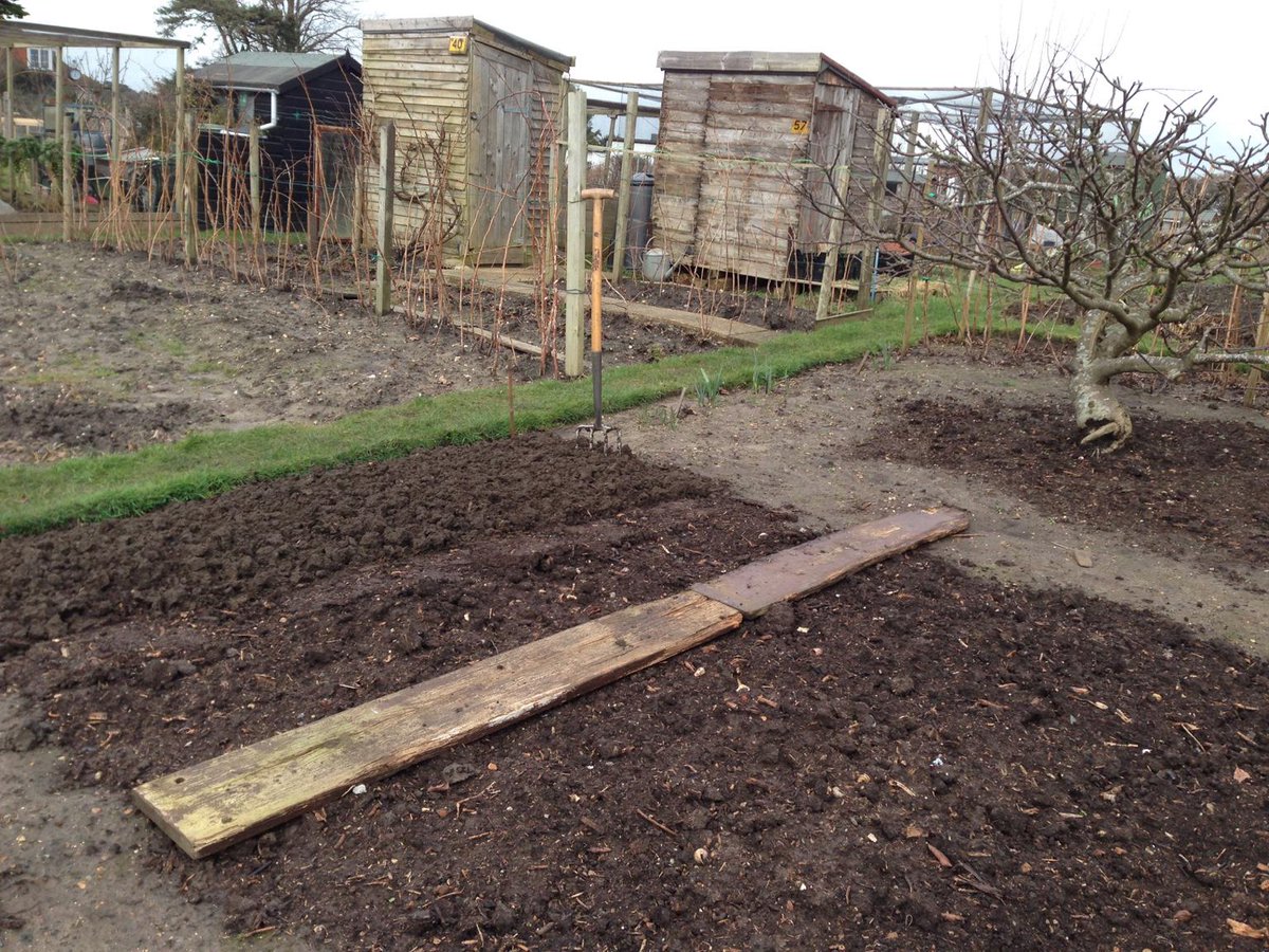 Martin Welsford💙 tweet media