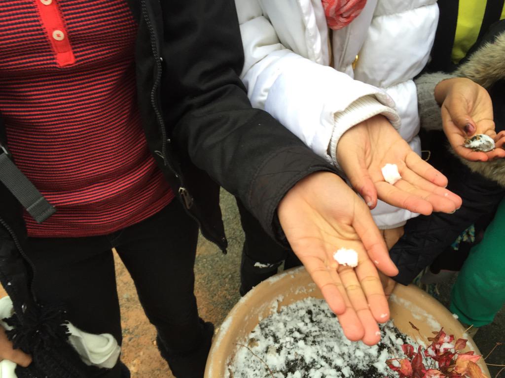 LisGurthie's tweet image. Tiniest snowball fight ever yesterday at @PiedmontIB #SouthernSnow #cmsk12 #piedmontyouknow #afterschool
