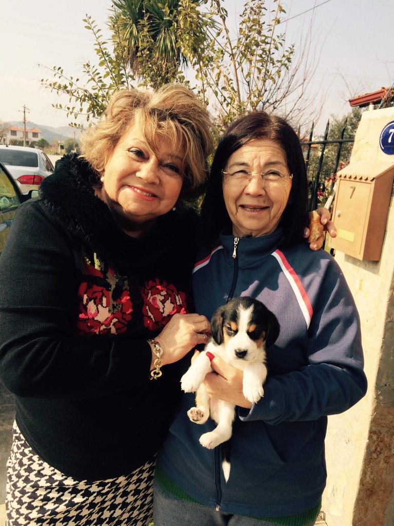 Ömer Haluk Narbay (@merhaluknarbay) on Twitter photo 