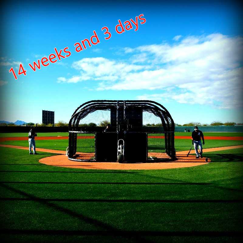 It won't be long till Opening Day in Geneva for the Twins! @NYCBL_baseball