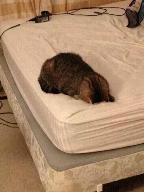 ComedyPosts's tweet photo. Current mood http://t.co/buy3Utp3Mk