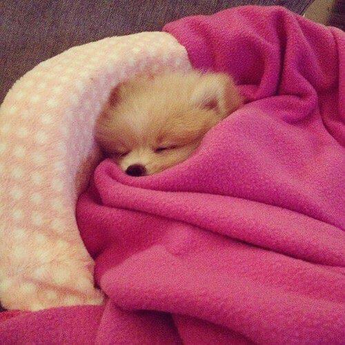 Esas tardes de siesta hasta la cena #LasHorasPasan #ElSueñoPermanece