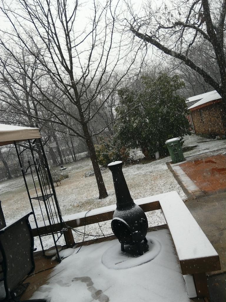 AxCdav's tweet image. Wild berry doesn't like the snow