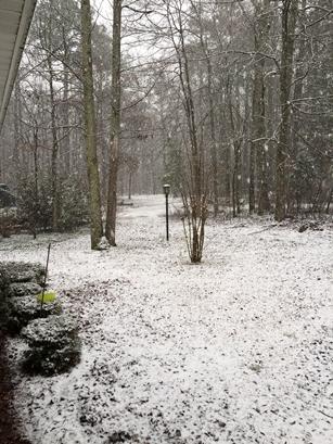 Nwalker10's tweet photo. Snow in Jacksonville @spann http://t.co/qj5RlWUAgf