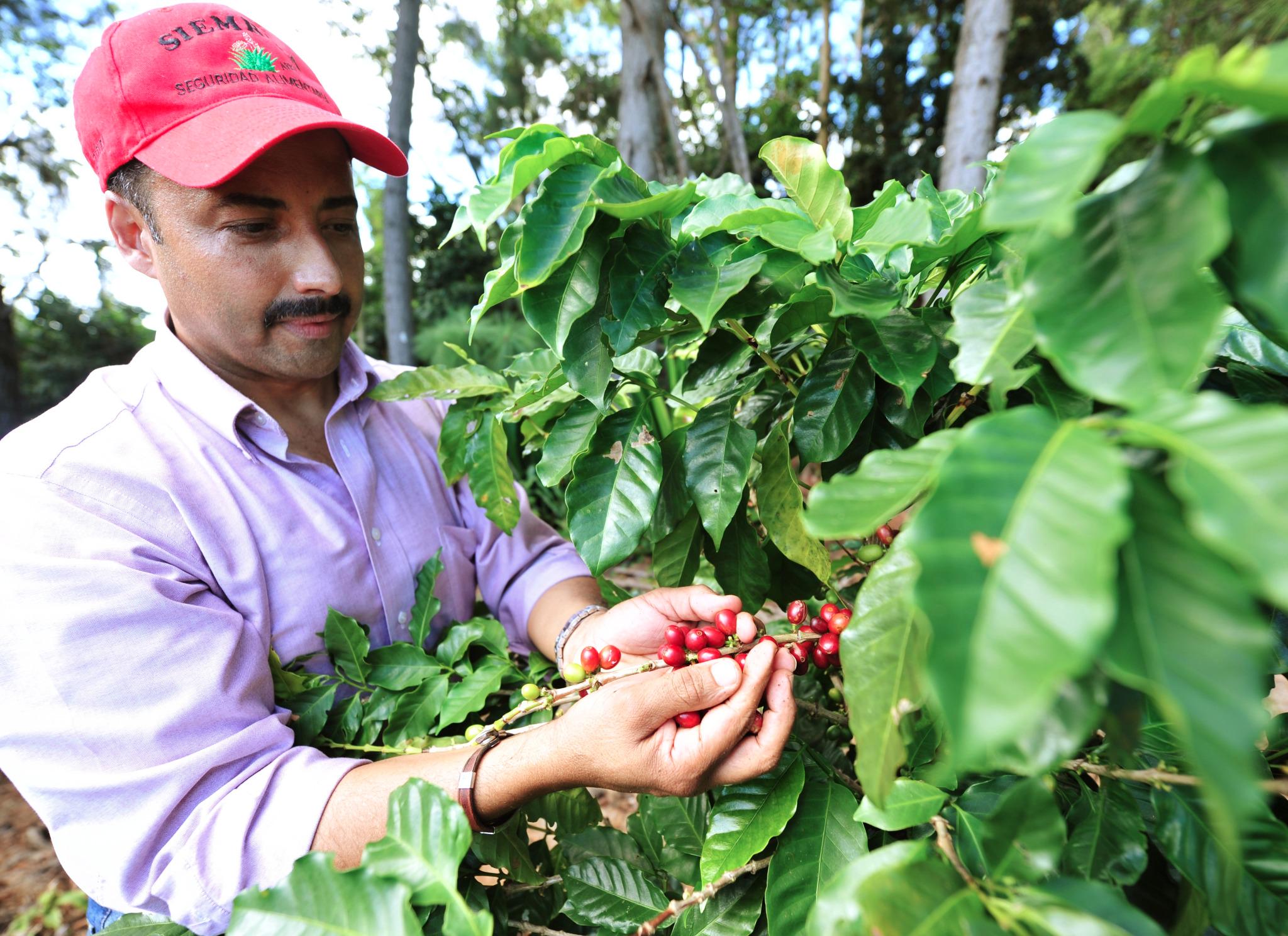 Senado Puerto Rico on Twitter "Autoridad de Tierras favorece medida
