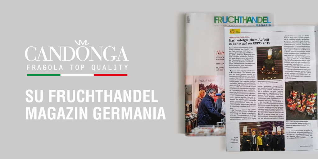 CandongaTop's tweet photo. Scrivono di noi. #candongaitalia #fragola #top_quality #basilicata #fruitlogistica #Fruchthandel #magazin http://t.co/QnEeKf0DB0