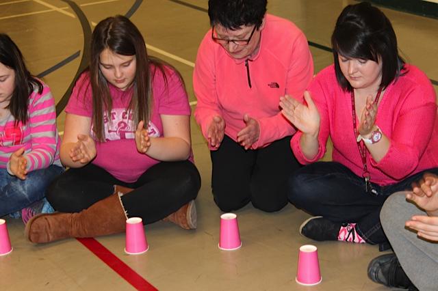 LakesideLynx's tweet photo. Band Together at @LakesideLynx @pinkshirtday @NLESDCA http://t.co/Qft9fNgESD