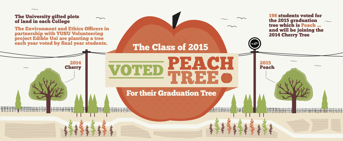YUSUEnvironment's tweet photo. Your winning #gradtree2015! @UniOfYork @YorkVision @yorknouse @yorkunisu http://t.co/b1k5UWpt0d