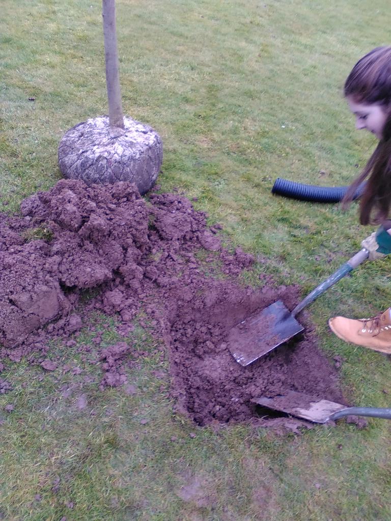 Derby Uni Tree Frogs (@uod_polefitness) on Twitter photo VP Hannah and Emma are tree planting today with conservation volunteers <a href="/TCVtweets/">The Conservation Volunteers (TCV)</a> at markeaton park @UDSU <a href="/DerbyUni/">University of Derby</a> VP Hannah and Emma are tree planting today with conservation volunteers <a href="/TCVtweets/">The Conservation Volunteers (TCV)</a> at markeaton park @UDSU <a href="/DerbyUni/">University of Derby</a>