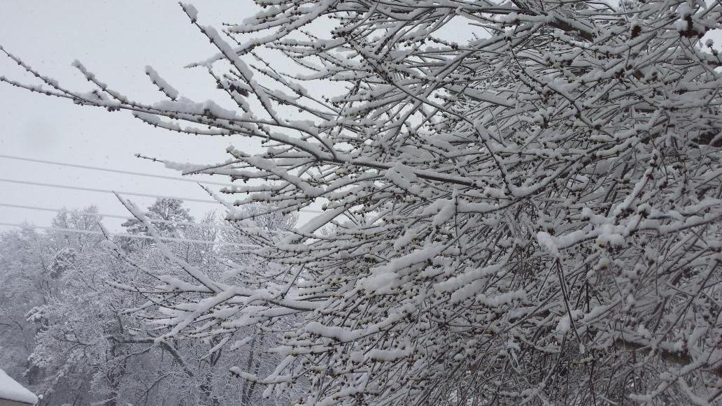 Looks like NH doesn't it?