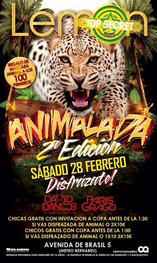 DanyGonzalezB's tweet photo. Este sábado vuelve animalada a @OficialLemon no te pierdas este fiestón +info: 672322575

http://t.co/worqPVch61 http://t.co/Gqge6TJR8j