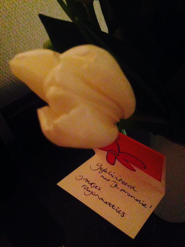sannevkerkhof's tweet photo. Promotie gemaakt binnen #Randstad! Kom maar door met alle vraagstukken,  werkzoekenden en werkgevers! #junioraf http://t.co/swVzGPquFY