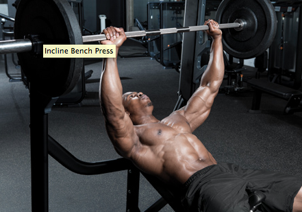 MusclePerf's tweet image. GYM WISDOM: Time to revisit some words to grow by @muscleperf. #weiderprinciples @aimfitness goo.gl/VblrSu