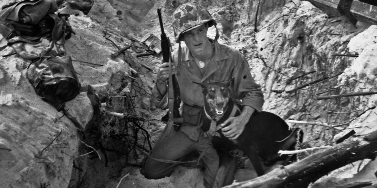 #TBT to 1944 when these Devil Dogs made a home in a foxhole on the island of Peleliu.
