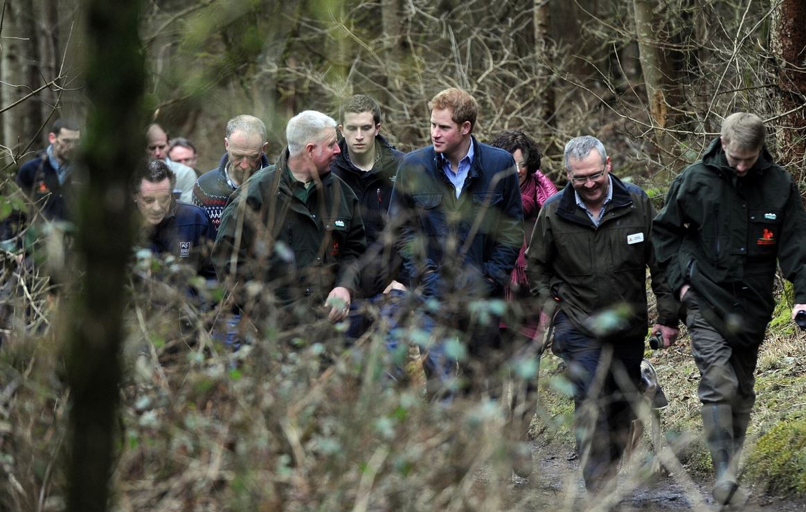 Prince Harry rallies behind red squirrel conservation call during #Northumberland visit
chroniclelive.co.uk/news/north-eas…