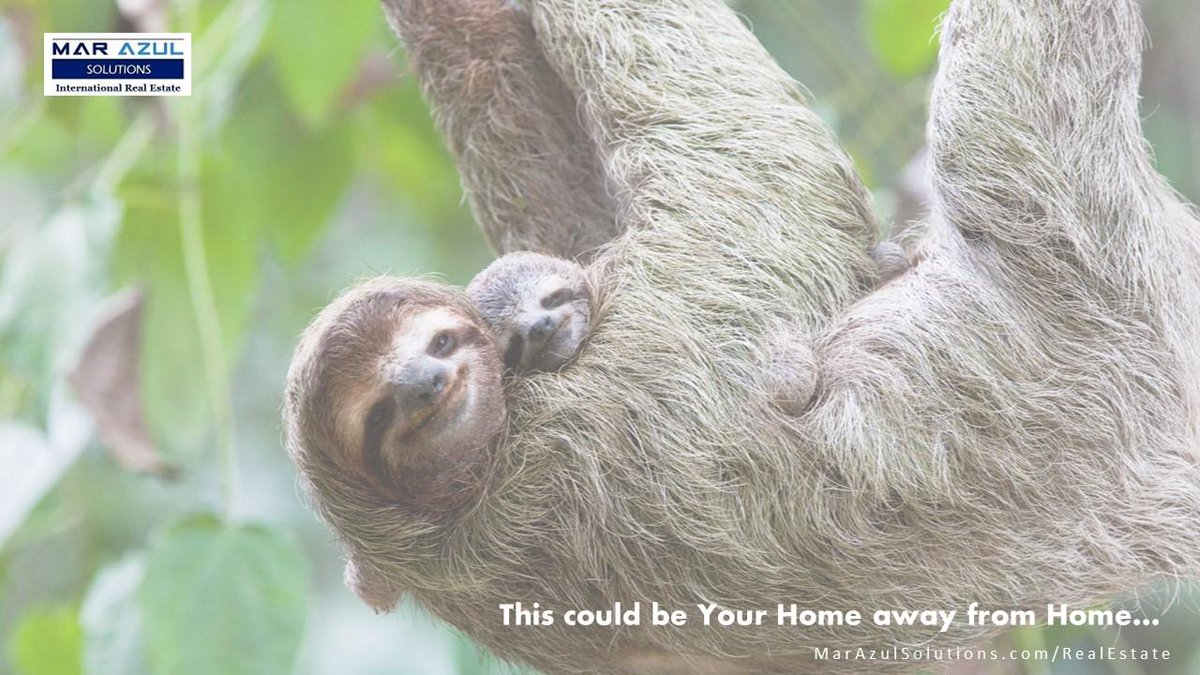 IntRealEstate_'s tweet image. marazulsolutions.com/realestate/