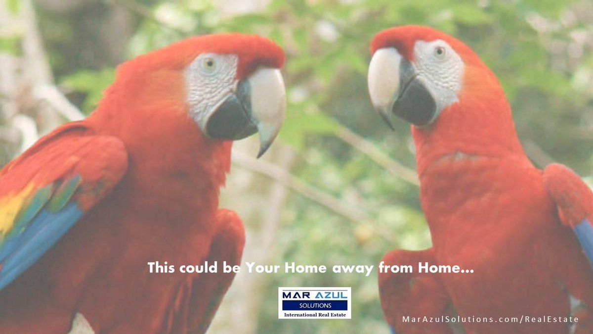 IntRealEstate_'s tweet image. marazulsolutions.com/realestate/