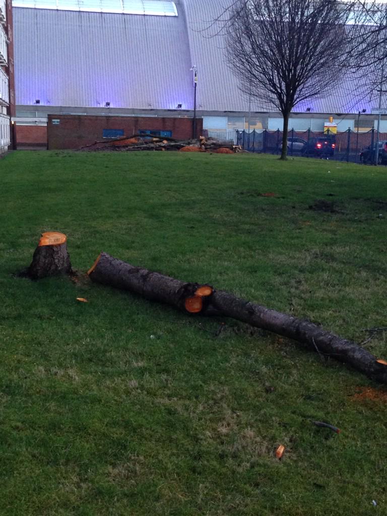<a href="/sandbar_mcr/">Sandbar</a> <a href="/OfficialUoM/">The University of Manchester</a> yet more trees felled in Mcr why? <a href="/GardensGartside/">Gartside gardens</a> <a href="/MCCCityCentre/">MCC City Centre</a>
