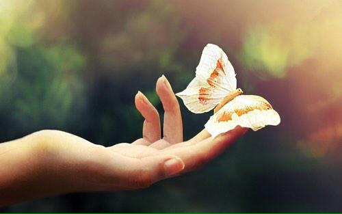 Twilight_Gypsy's tweet photo. http://t.co/uuS6zyMFxp