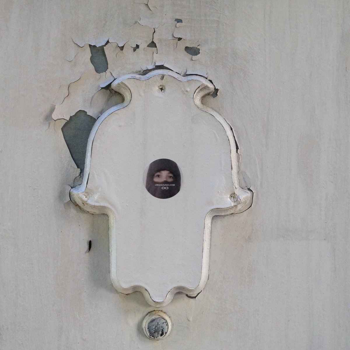 Sofie Elana Hodara tweet media