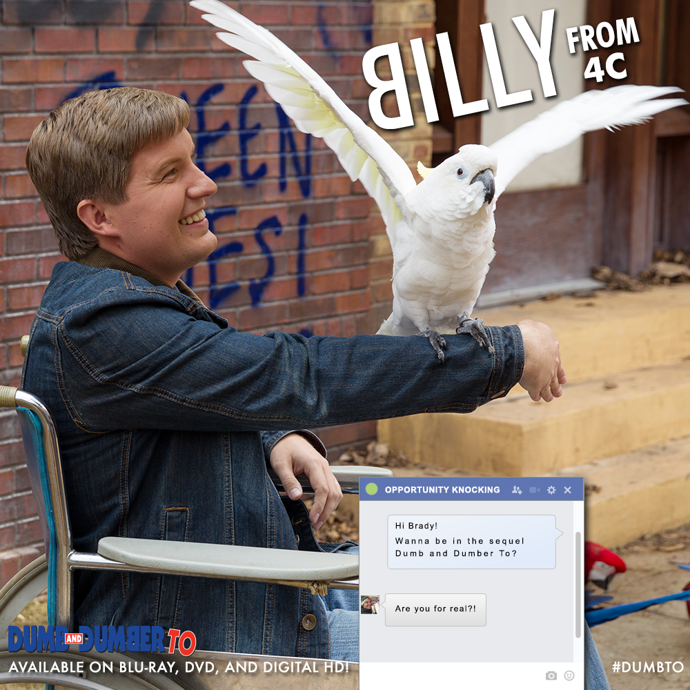 #DumbTo (@dumbto) on Twitter photo .<a href="/bradybluhm/">bradybluhm</a> was contacted through Facebook to join #DumbTo! How does a blindy use Facebook? uphe.biz/DumbTo .<a href="/bradybluhm/">bradybluhm</a> was contacted through Facebook to join #DumbTo! How does a blindy use Facebook? uphe.biz/DumbTo