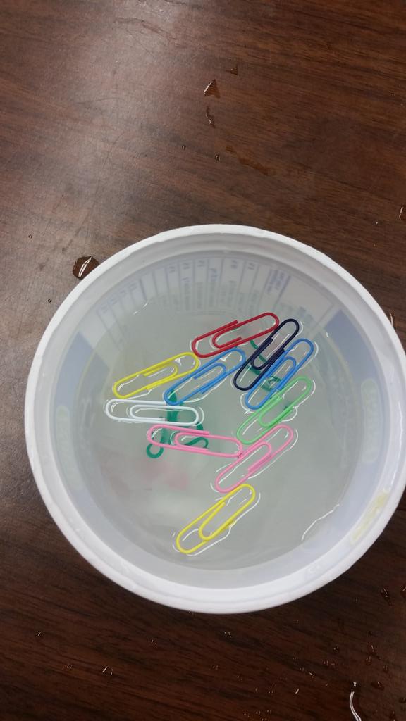 Playing with surface tension in science today! #science #school