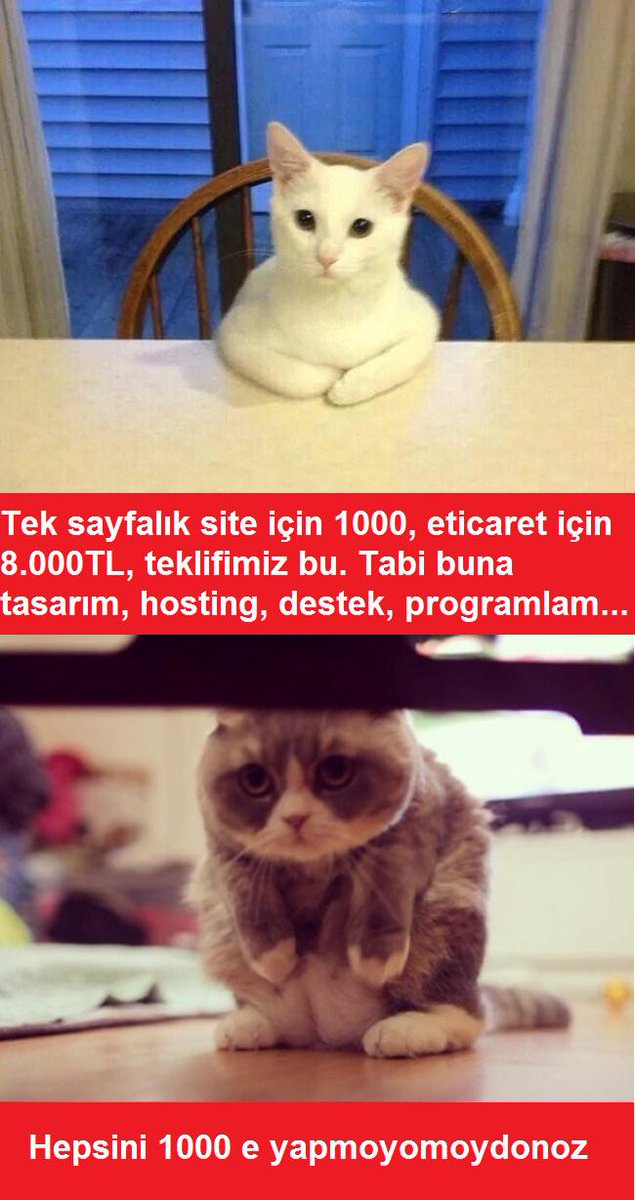 coder_tr's tweet image. #hepsini1000e