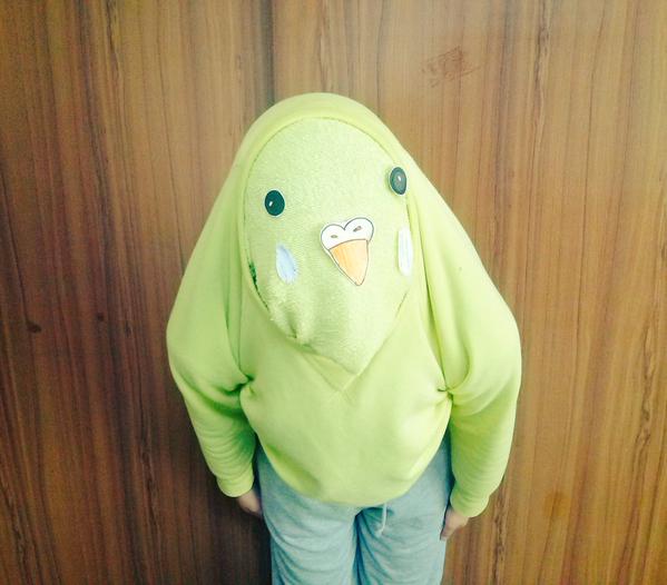 nidomimi's tweet photo. 妹がインコのコスプレとか言ってまたようワケの分からんことしてる https://t.co/Jxvy4puUEl