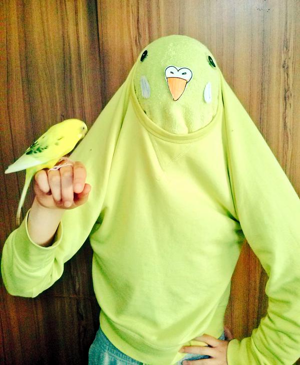 nidomimi's tweet photo. 妹がインコのコスプレとか言ってまたようワケの分からんことしてる https://t.co/Jxvy4puUEl
