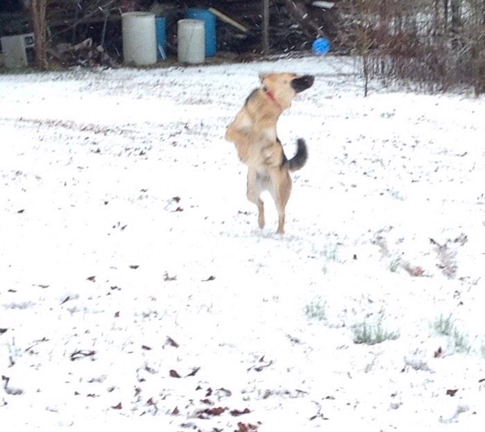 Suzanne Batchelor tweet media