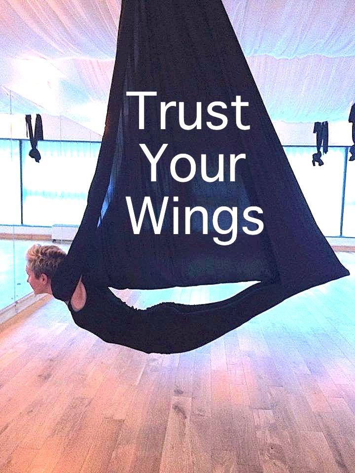 #trustyourwings #dragonfly come Fly with us @shaktistudios @bikramliverpool xxx