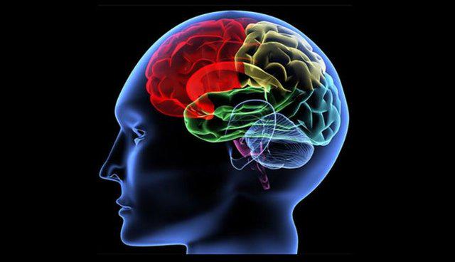 Haberturk's tweet image. Beyin yaşınız kaç? İşte cevabı gez.io/r4O4Bl