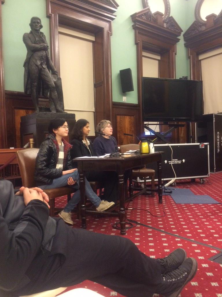 "Common Core should be replaced with common sense" ELL hearing at City Council #buildthebridge