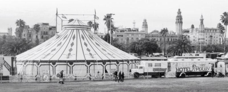 jmirada's tweet photo. @CircRaluy #espectacle #granespectacle #genial http://t.co/PTvoqwM7Cs