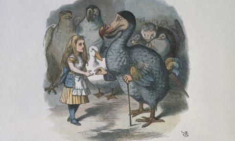 obi_monkey's tweet image. How much do you know about...Alice in Wonderland theguardian.com/childrens-book… #literacy #kids #reading #books