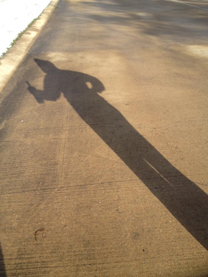 Nancy Glass tweet media