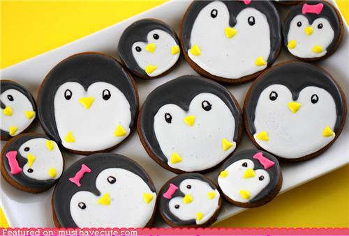Candy tweet media