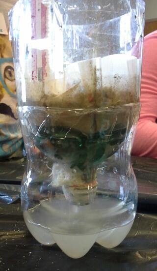 VRayford_cy's tweet photo. Not everyone has access to clean water.  @CityYearNH #CampCityYear,  learned how to create a water filter! http://t.co/pGgIs3rJgU