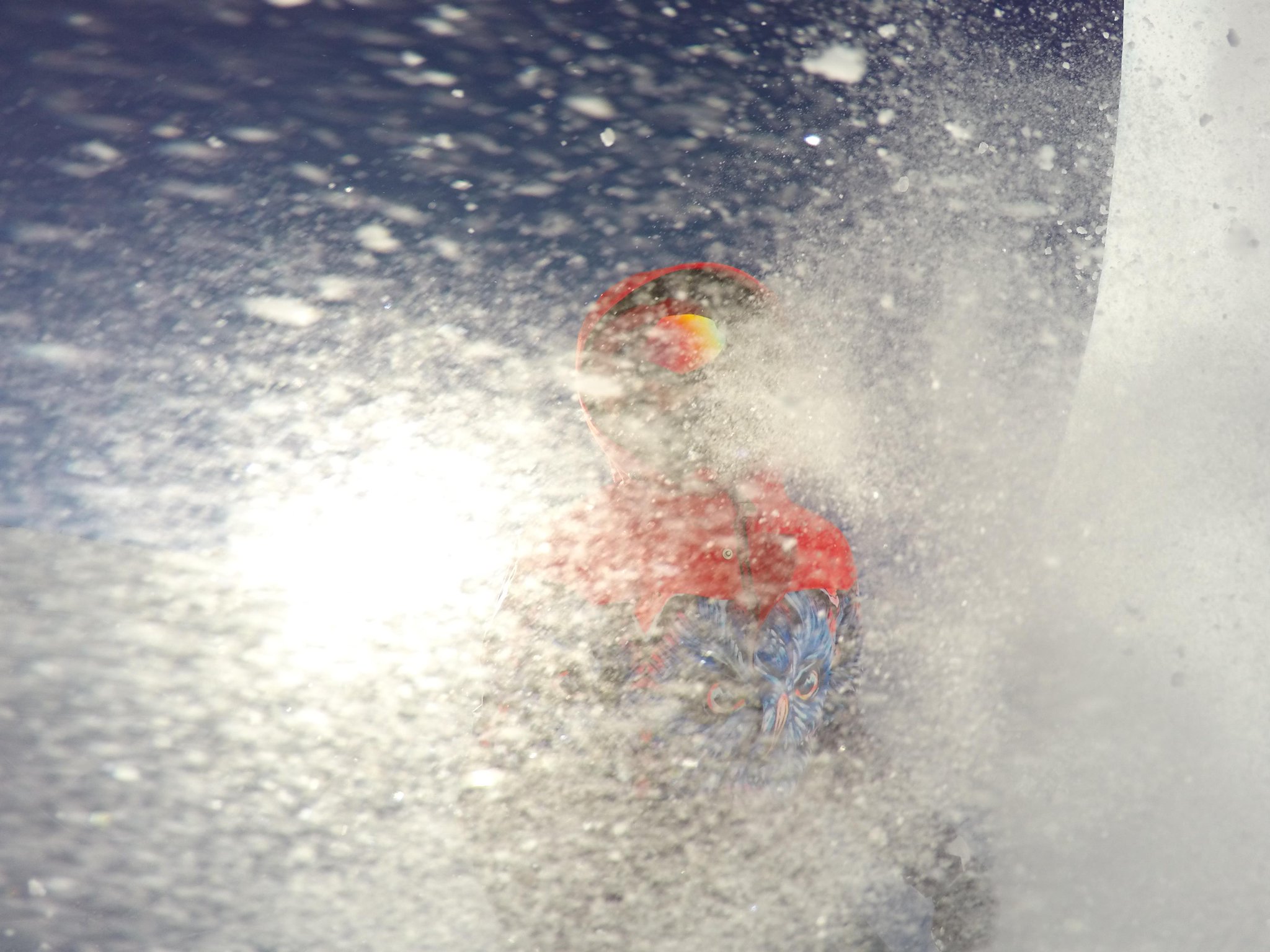 Embedded image permalink