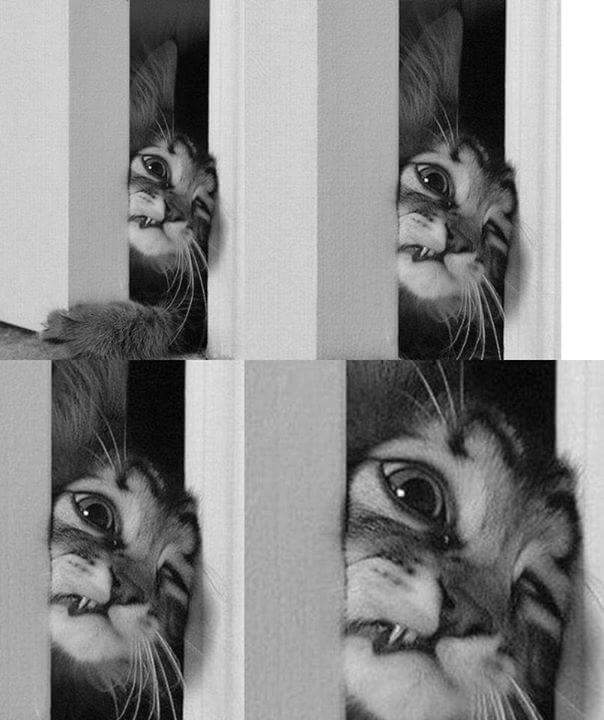 Sevgilimin telefonuna birsey gelince ben 😂😂😂 ( temsiliii)