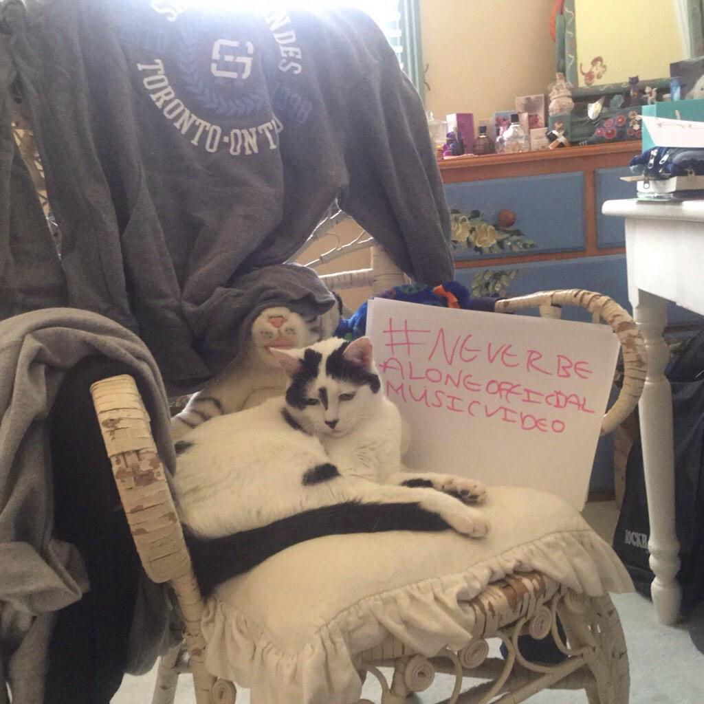 angelicalaidlaw's tweet photo. THIS PHOTO TOOK ALOT MY CAT WOULDN'T SIT STILL 😂 #NeverBeAloneMusicVideo I ALSO COULD WRITE I WAS TO EXCITED http://t.co/8rEGeoV16s