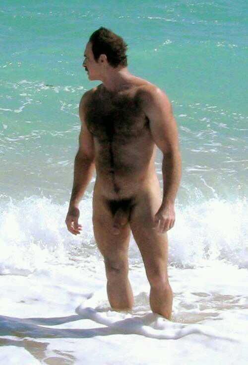 Enlace permanente de imagen incrustada