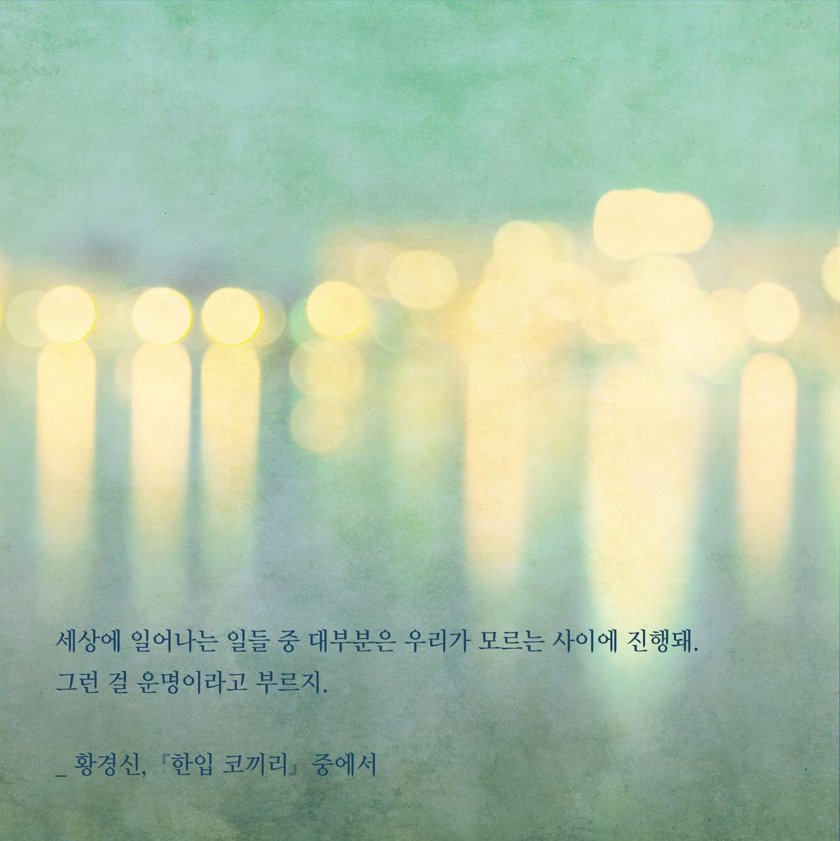 세상에 일어나는 일들 중 대부분은 우리가 모르는 사이에 진행돼. 그런 걸 운명이라고 부르지. _황경신,『한입 코끼리』중에서