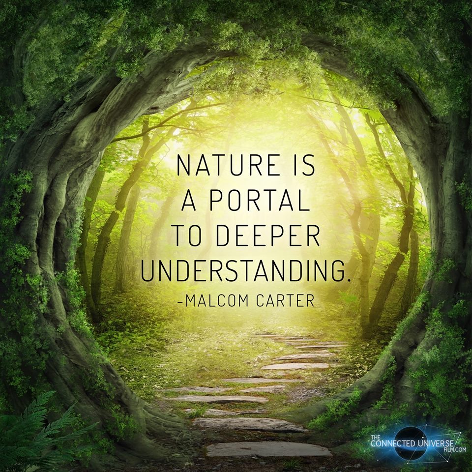 Nature is a portal to deeper understanding. - Malcom Carter   
If you agree, RT &amp; share!  #ConnectedUniverse