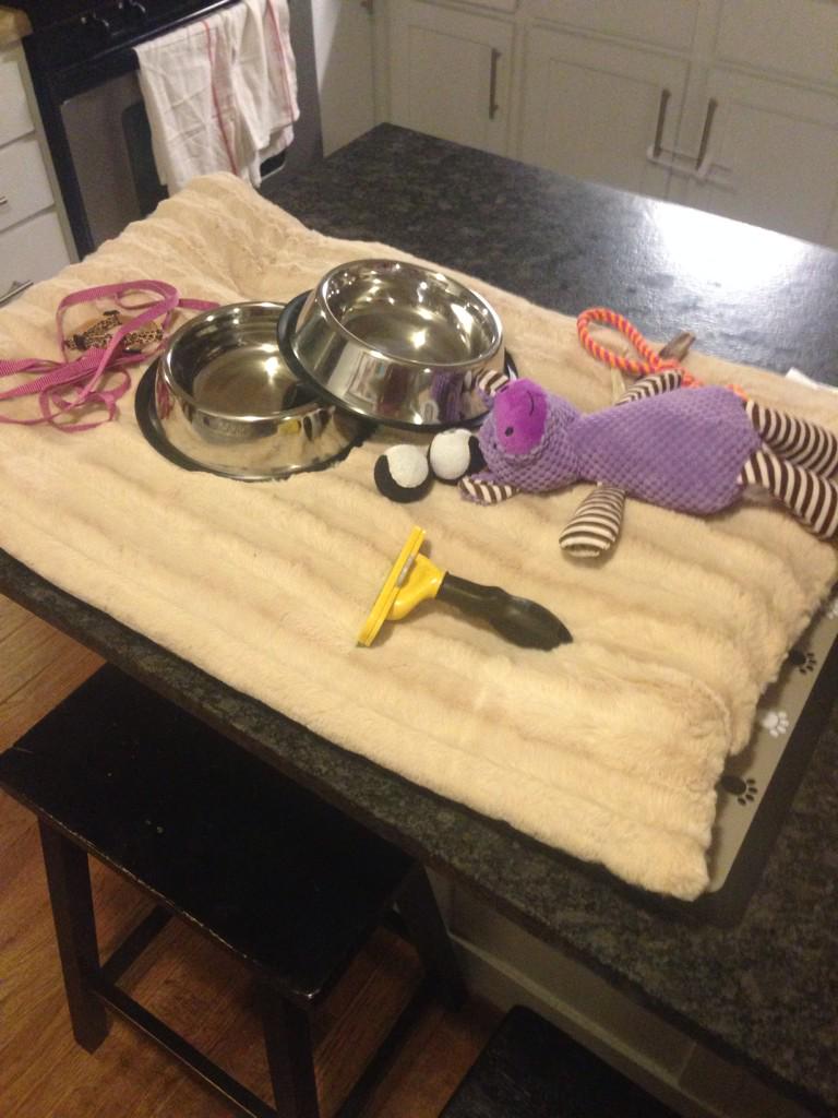 Johnaj24's tweet photo. Are there other woman who have gotten nesting instinct when getting a dog? http://t.co/X76KVBAMh8