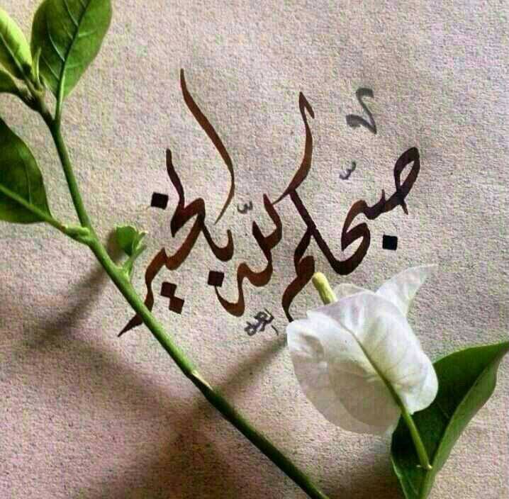 a078034873741's tweet photo. @adbla11223344 http://t.co/NA0pXxTAGD