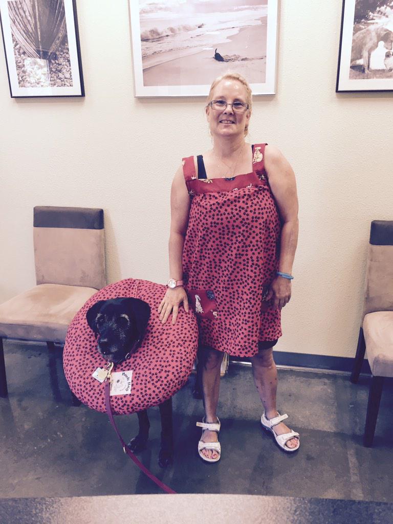 #dogincone my mom and I wore matching outfits today for my final checkup after surgery three weeks ago