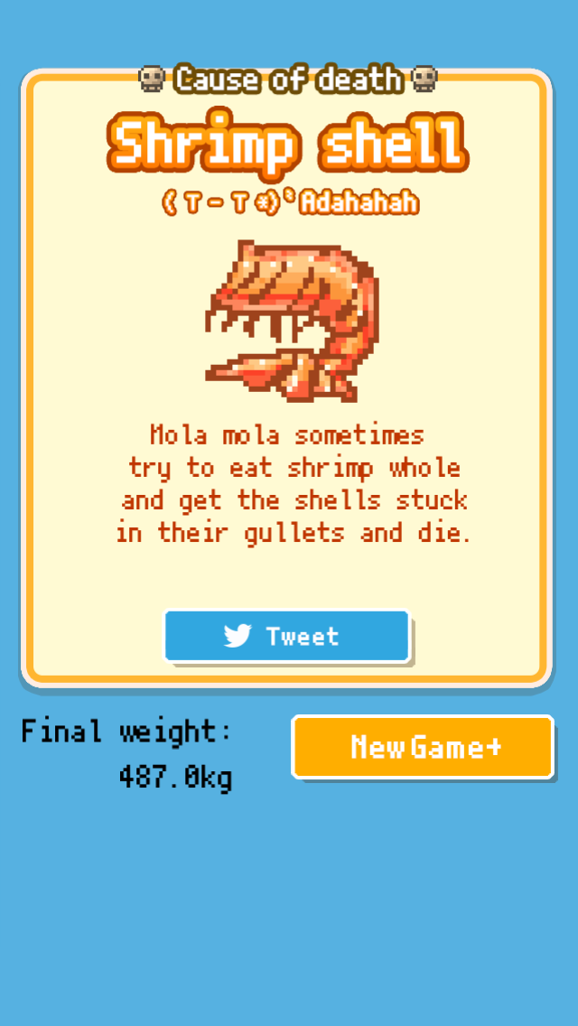 hinamorisakura's tweet photo. ＿人人人人人人＿
＞Sudden death＜
￣ＹＹＹＹＹＹ￣
Cause:[Shrimp shell]
487.0kg #MolaMola http://t.co/HU7OIWoAh2 http://t.co/lSRbrRY0BM