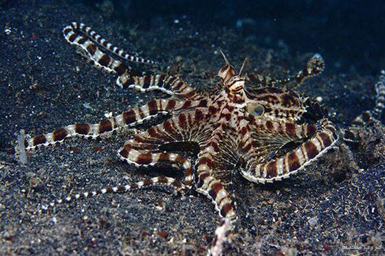 ahmedmohd2012's tweet image. 