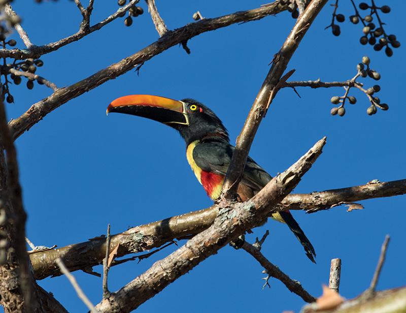 DRFreiling's tweet image. 